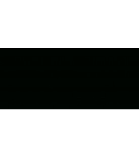 PEINTURE VELOURS NOIR ONYX