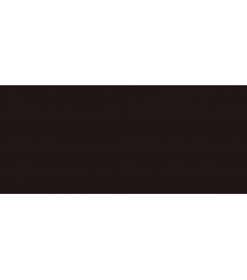 PEINTURE VELOURS TULIPE NOIRE