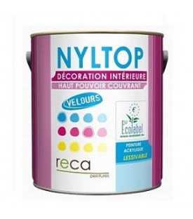 Peinture intérieure velours