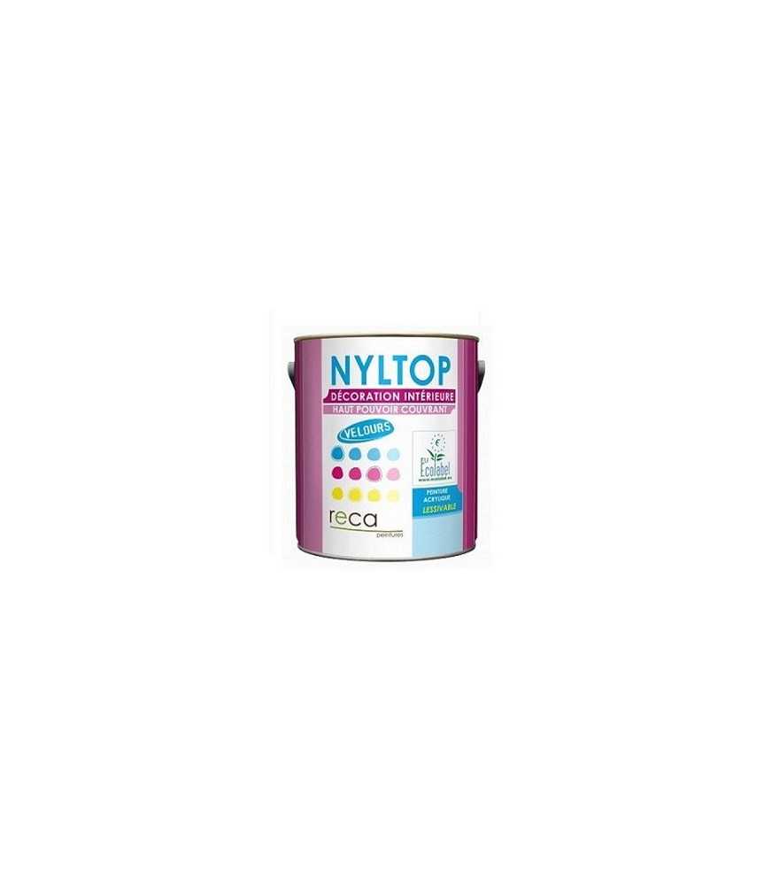 Peinture intérieure velours