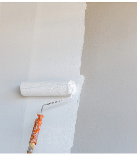 Application-PEINTURE D'IMPRESSION ET FINITION BLANCHE