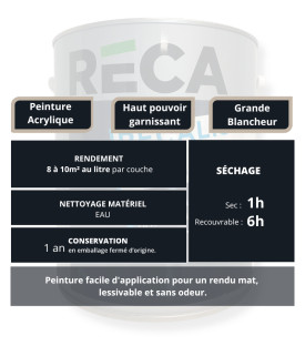 PEINTURE D'IMPRESSION ET FINITION BLANCHE - caractéristiques