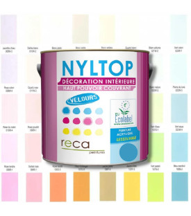 PEINTURE INTÉRIEURE VELOURS - PASTEL