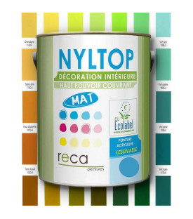 PEINTURE INTÉRIEURE MATE - JAUNE ET VERTE