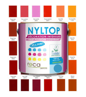 PEINTURE INTÉRIEURE VELOURS - ROUGE / ORANGE
