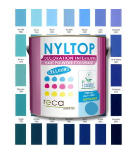 PEINTURE INTÉRIEURE VELOURS - BLEUE - Caractéristiques