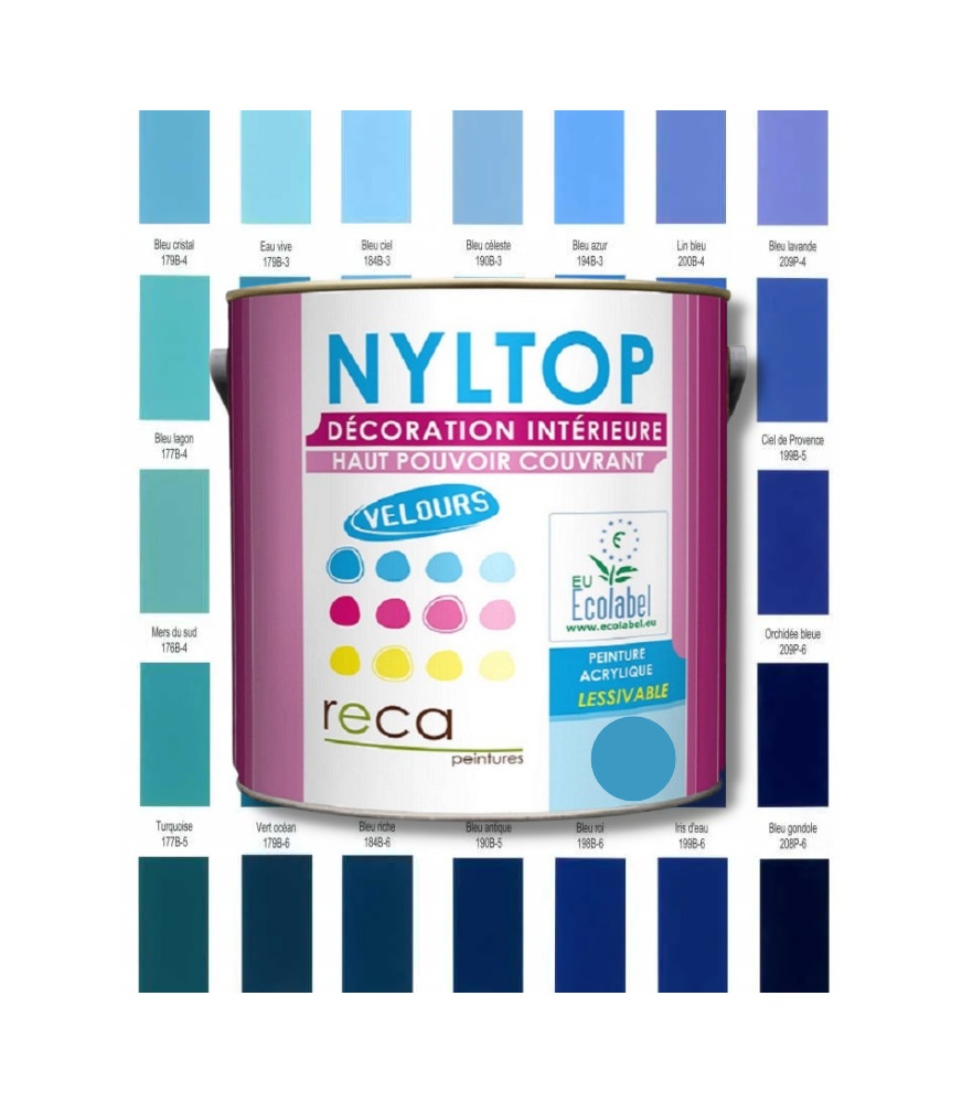 PEINTURE INTÉRIEURE VELOURS - BLEUE - Caractéristiques