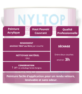 PEINTURE INTÉRIEURE VELOURS - NEUTRE - Caractéristiques