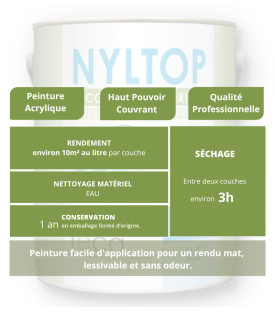 PEINTURE INTÉRIEURE MATE - JAUNE ET VERTE - caractéristiques
