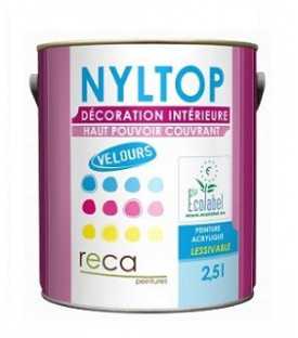 PEINTURE INTÉRIEURE VELOURS